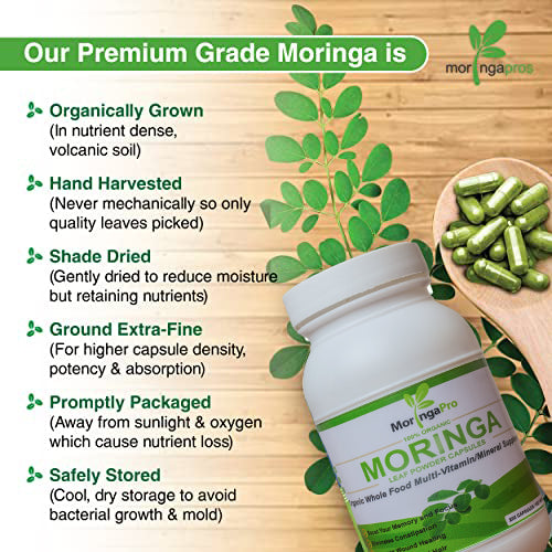 Moringa Oleifera Leaf Capsules - Organic