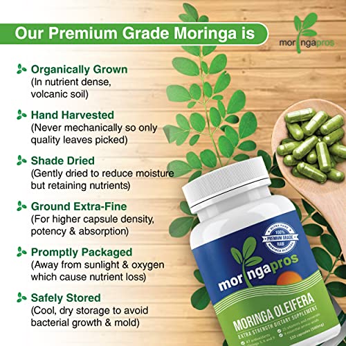 Natural Moringa Oleifera Capsules (500 mg) 120 Capsules (1 Month Supply) Increase Energy Level, Reduce Appetite, Non-GMO, Toxin Free.